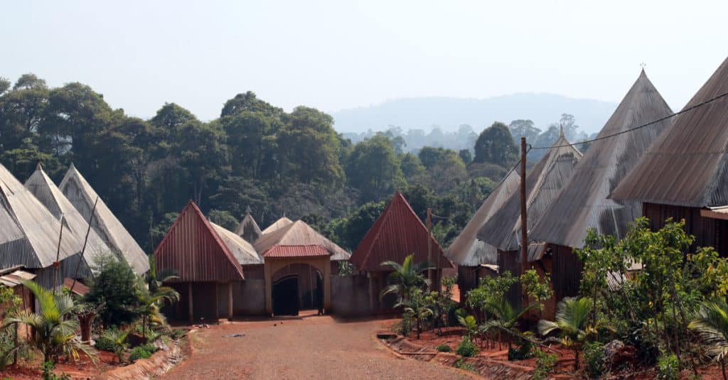 CAMEROON/DRC: Loss of sacred forests a concern© Fela Sanu/Shutterstock