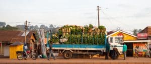 AFRIQUE : des investisseurs engagent 150 M$ contre le gaspillage alimentaire© Travel Stock/Shutterstock