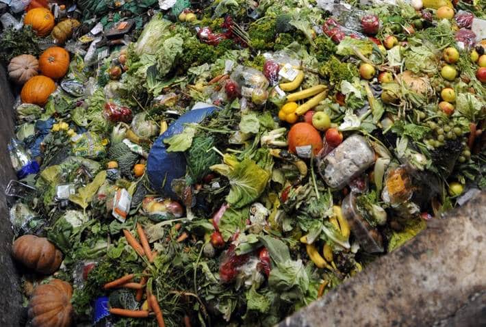 AFRICA: UN warns of food waste in the face of food insecurity ©FAO