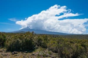 TANZANIA: now under control, a fire shakes the ecosystem of Kilimanjaro © UNESCO