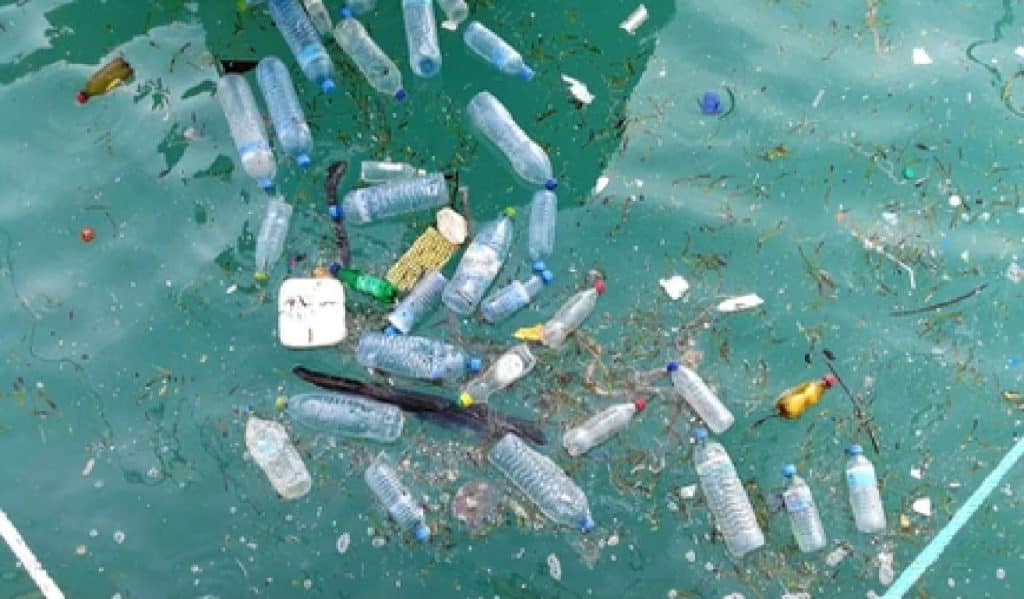 EGYPT/TUNISIA: the "plastics Busters Cap" project to reduce marine pollution©Mr.anaked/Shutterstock