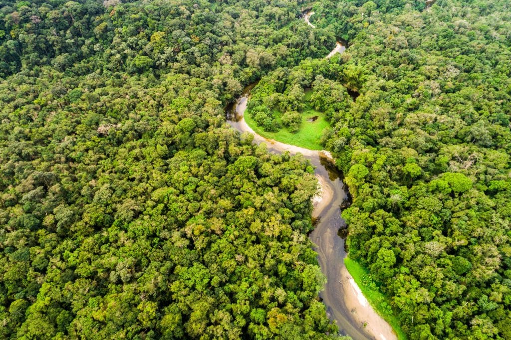 GABON: The country obtains carbon credit certification from the UNFCCC© Gustavo Frazao/Shutterstock