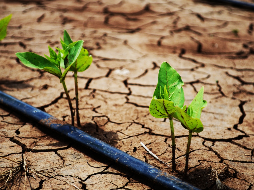 AFRICA: CGI to exhibit technology solution for climate action at COP27 © Adriana Mahdalova/shutterstock