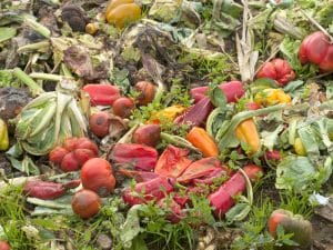 GHANA: food waste costs $65 billion a year© Candace Hartley/Shutterstock