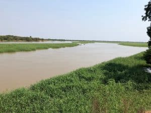 TCHAD : les populations en alerte face à la montée inquiétante des eaux du Chari © theosmantube1/shutterstock