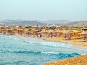 ÉGYPTE : non loin de la mer Rouge, une ville verte se dessine peu à peu à Marsa Alam © Elzbieta Sekowska/shutterstock