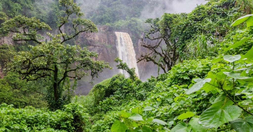 COP 15: Africa's protected areas at the heart of the summit ©Fabian Plock