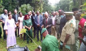 CAMEROUN : 10 M€ de la KfW pour la protection de la biodiversité dans le sud-ouest©Minfof