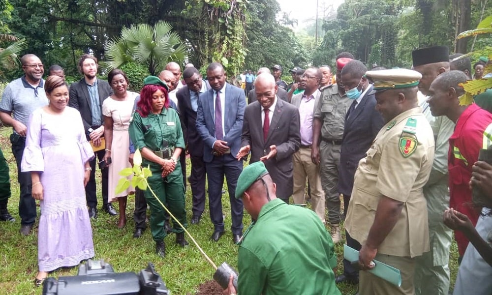 CAMEROUN : 10 M€ de la KfW pour la protection de la biodiversité dans le sud-ouest©Minfof