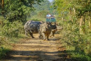 AFRIQUE : le programme EarthRanger renforce la gestion de 6 aires protégées©Sandeep-Bisht /Shutterstock