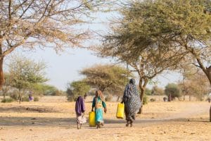 COP27 : quels enjeux pour l’Afrique à l’heure des solutions concrètes? ©Amors photos/Shutterstock