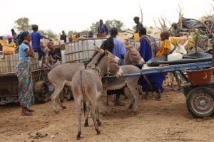 SENEGAL: A €40m AfDB Loan for Water and Sanitation©BOULENGER Xavier/Shutterstock