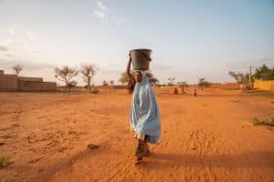 Urgence climatique en Afrique : à l’heure des solutions d’adaptation© Precious Photos/Shutterstock