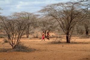 KENYA: Faced with drought, an emergency appeal for $472 million© hecke61/Shutterstock