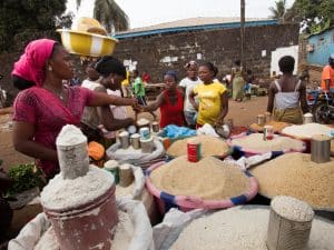 LIBERIA : la BAD débloque 5 M$ pour renforcer la sécurité alimentaire face au climat ©ImageArc/Shutterstock