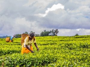 UGANDA: €68m from Berlin for climate resilience and energy©Jen Watson/shutterstock