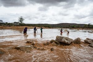 GABON : l’un des derniers bastions d’éléphants de forêts, exposé au trafic d’ivoire ©Stanley DulleaShutterstock