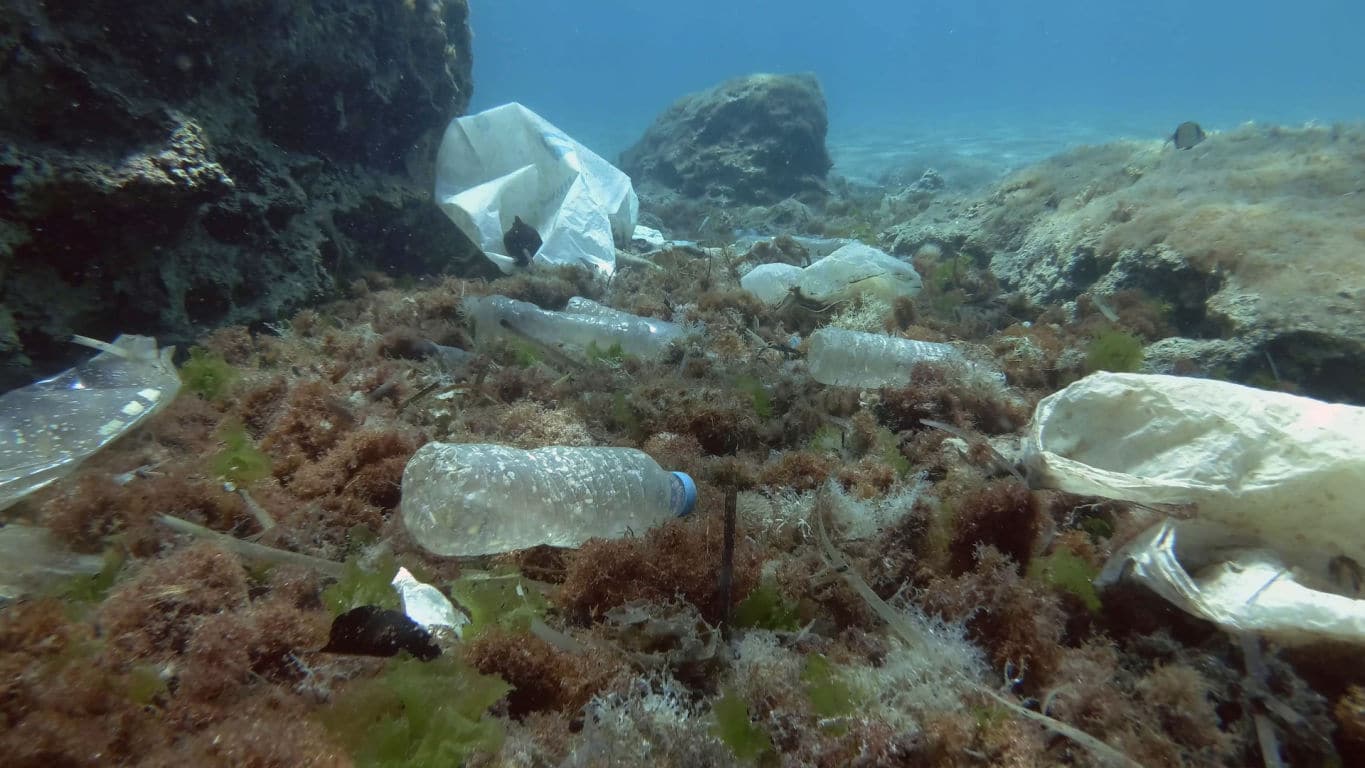 GHANA: World Bank mobilises $1.5m to reduce marine pollution in Accra ...