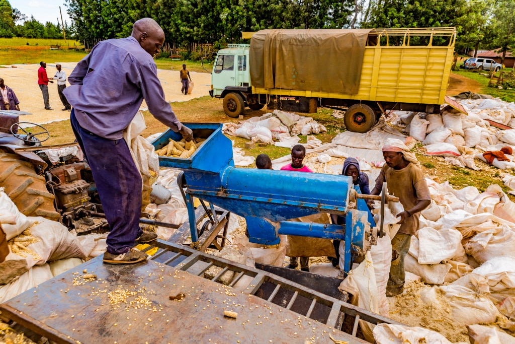 AFRIQUE : Catalyst investit 2 M$ dans la résilience climatique à travers 10 start-up © Jen Watson/Shutterstock