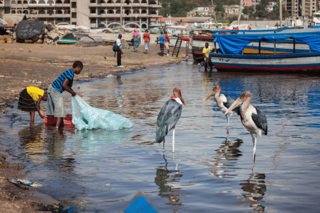 AFRIQUE : Arena lance le projet Clean Shore Great Lakes, pour assainir les Grands Lacs©Borkowska Trippin/Shutterstock