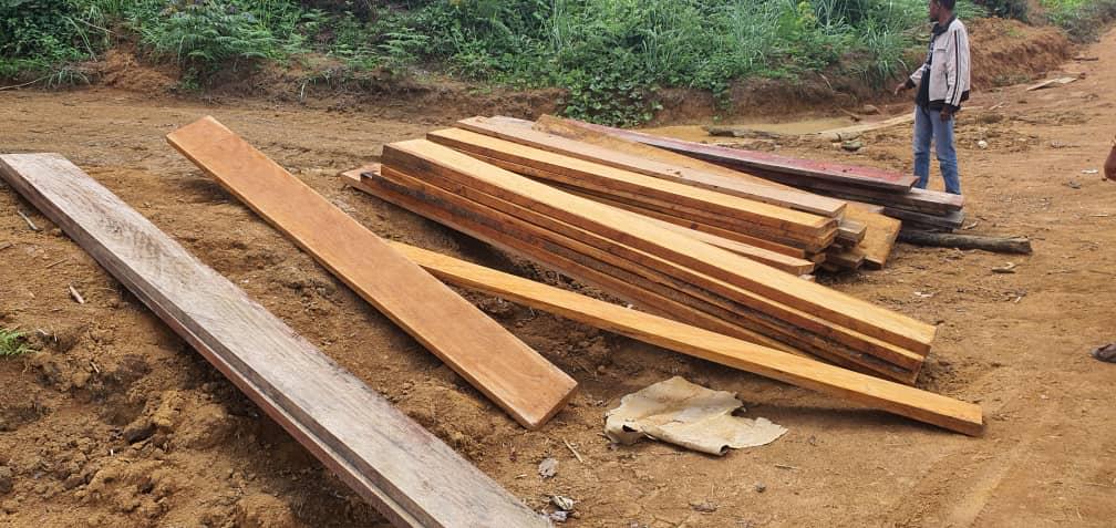 GABON: Four illegal logging sites discovered in Bitam, north of the country ©Conservation justice