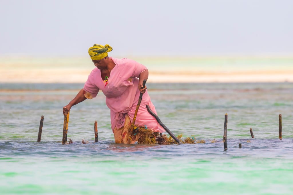 AFRICA: FAO and ARC to mainstream gender in climate action © SanderMeertinsPhotography/Shutterstock