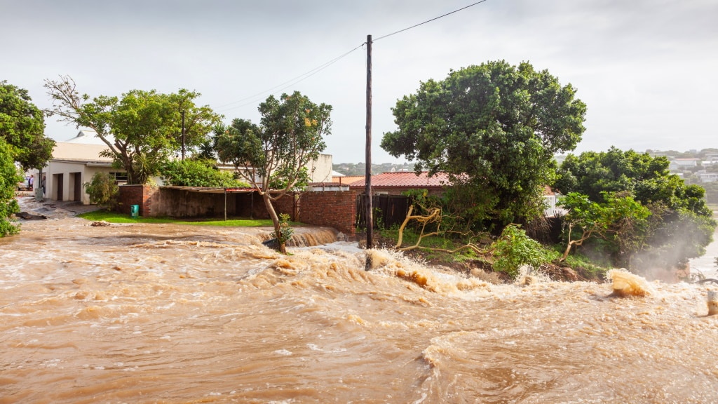 CÔTE D’IVOIRE : à Abidjan, l’ONG Expadd formera aux métiers du développement durable©David Steele/Shutterstock