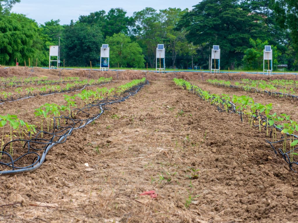 OUGANDA : 160 agriculteurs seront dotés de systèmes d’irrigation à Kapelebyong ©20INZ/Shutterstock