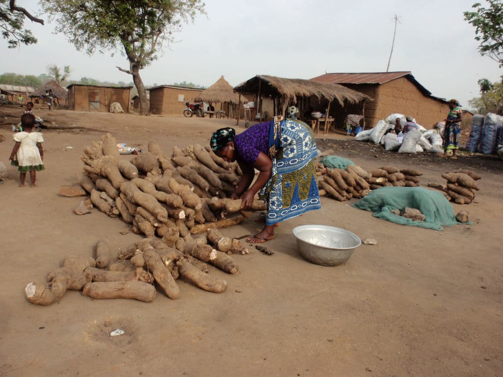 BENIN: 457M€ to be mobilised in 4 years for food security in face of climate change ©BOULENGER Xavier/Shutterstock