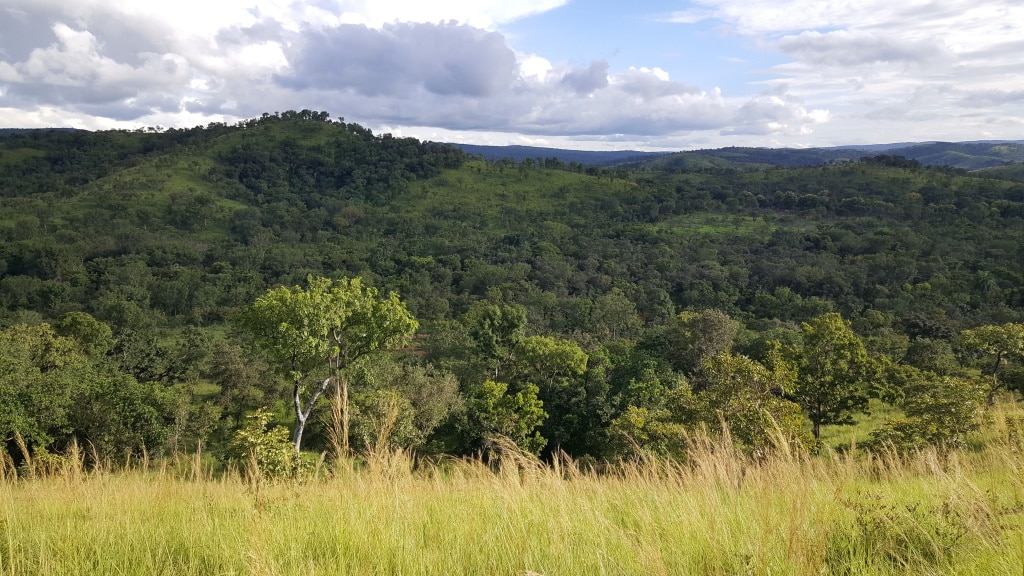 TOGO : l’Unesco promeut l’artisanat durable autour du parc de Fazao-Malfabassa© Travel Telly/Shutterstock