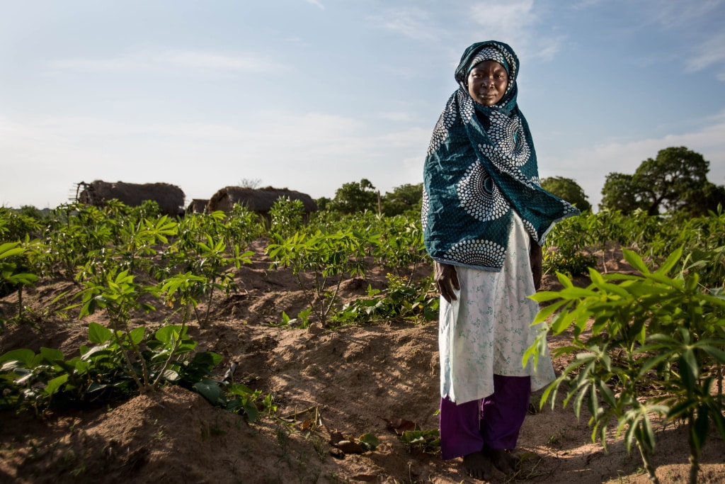 ÁFRICA: Entre riscos climáticos e soluções ecológicas, mulheres no centro dos ODS