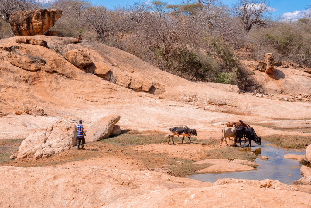 AFRIQUE : le FVC et la BEI lancent un nouveau mécanisme de financement climatique © Simplice/Shutterstock