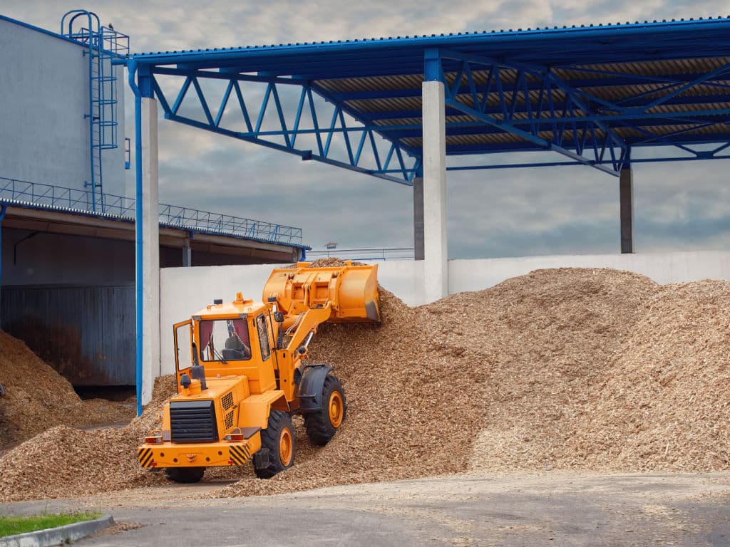 TOGO : l’État encadre l’exportation des déchets de biomasse avec une nouvelle mesure ©Tricky_Shark/Shutterstock