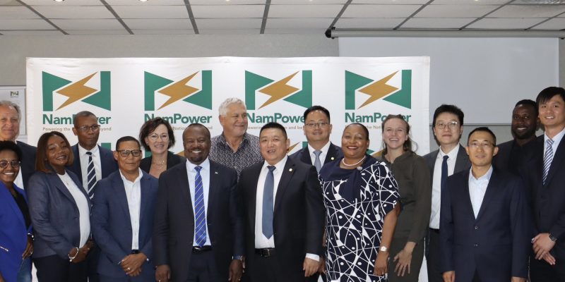 NAMIBIE : Energy China construira un parc éolien de 50 MW près de Lüderitz© NamPower