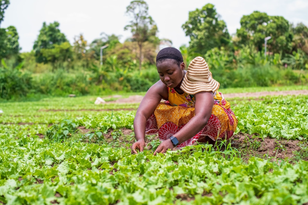 AFRIQUE : restauration des terres dégradées et sécheresse, quel rôle pour les femmes ?©Yaw Niel /Shutterstock