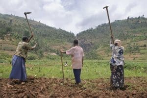 AFRIQUE : restauration des terres dégradées et sécheresse, quel rôle pour les femmes ?©giulio napolitano/Shutterstock