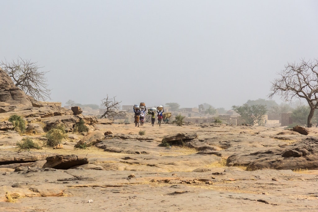 MALI: the World Bank is financing a $150 million programme to restore degraded land © Torsten Pursche/Shutterstock