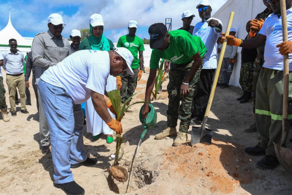 SOMALIE : l’ATMIS plantera 30 000 arbres pour reverdir le pays d’ici décembre 2024 ©ATMIS