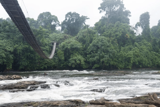 AFRICA: four new biosphere reserves designated by UNESCO© UNESCO