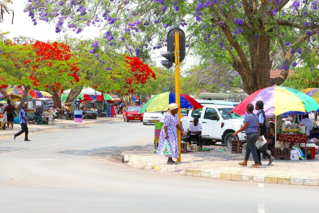 AFRICA: AFD pledges €2.4 million to finance solutions to the MDGs in 2024© ingehogenbijl/Shutterstock