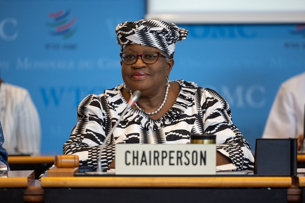 AFRICA: gender equality in financing, a condition for speeding progress towards MDGs©Ngozi Okongo-Iweala