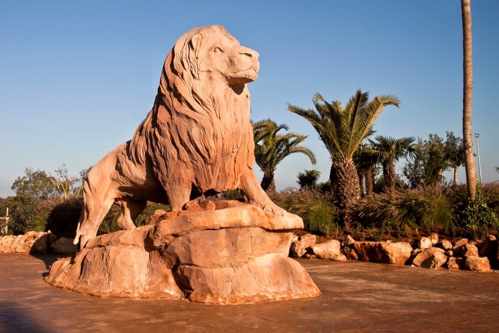 MAROC : voici comment le Jardin zoologique de Rabat s’adapte à la canicule© Jardin Zoologique de Raba/Shutterstock