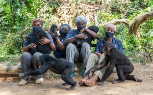 RDC : l’unique réserve de Bonobo au monde risque de fermer, à cause des violences© Lola ya Bonobo