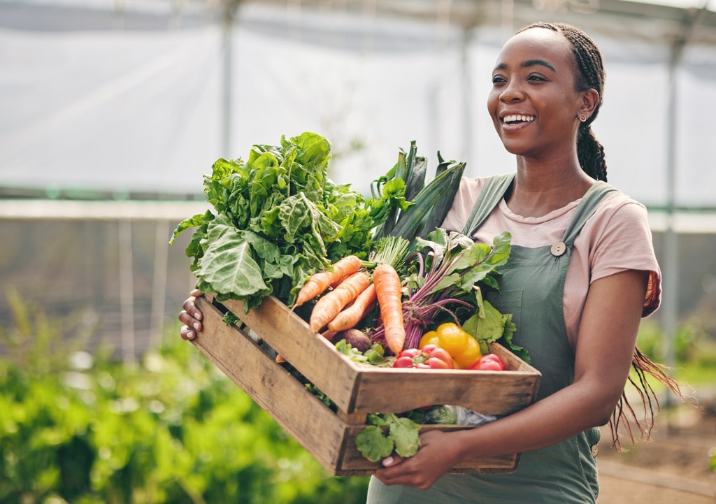 AFRICA: Cape Town, Kisumu and Mbale, pilot cities for AfriFOODlinks on SDG2 © PeopleImages.com - Yuri A/Shutterstock