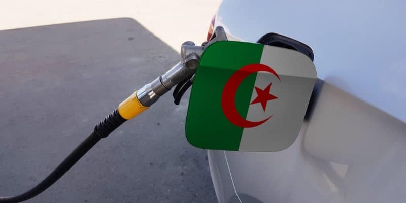 ALGÉRIE : un concours lancé pour la meilleure conception d’une voiture électrique© BERMIX STUDIO/Shutterstock