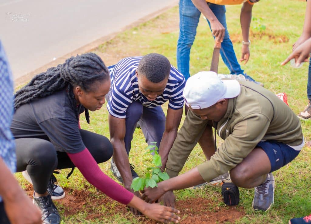 TOGO : une opération de reboisement permet la plantation de 800 arbres à Lomé ©ICC-TOGO