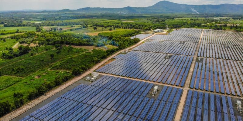 DJIBOUTI : Amea signe pour l’installation d’un parc solaire de 25 MW à Grand Bara ©Nana44/Shutterstock