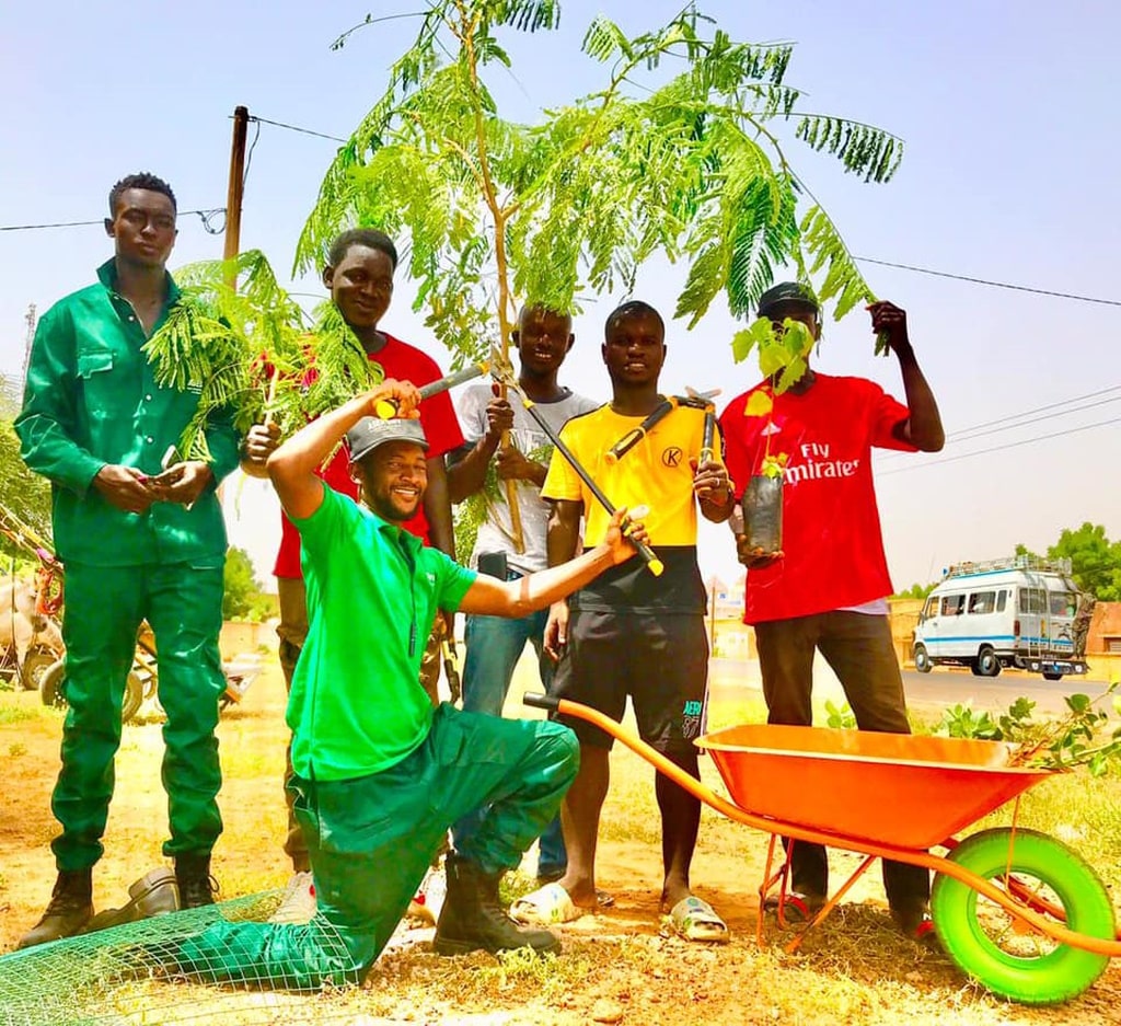 SÉNÉGAL : l’initiative «  Thilogne ville verte  » permettra de reverdir trois quartiers © Thilogne ville verte