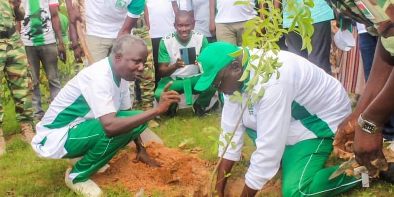 BURKINA FASO : Tree Aid plantera 1,5 million d’arbres pour reverdir le pays ©Ministère burkinabé de l'Environnement