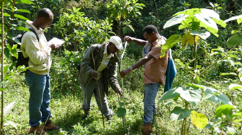 BENIN: UNDP and GEF allocate €8.6m to land restoration in 8 councils ©UN